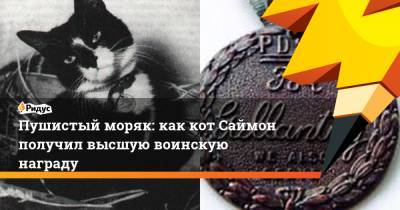 Пушистый моряк: как кот Саймон получил высшую воинскую награду - ridus.ru - Китай - Англия - Гонконг