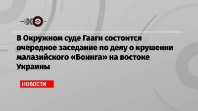 В Окружном суде Гааги состоится очередное заседание по делу о крушении малазийского «Боинга» на востоке Украины - echo.msk.ru - Украина - Голландия - Малайзия - Гаага