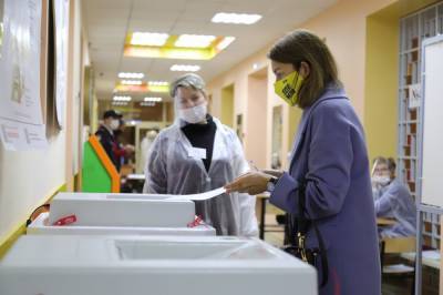 Более 3 тысяч наблюдателей работают на избирательных участках в Рязанской области - 7info.ru - Рязанская обл.
