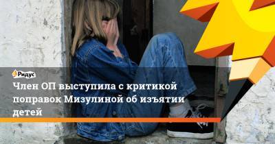 Елена Мизулина - Член ОП выступила с критикой поправок Мизулиной об изъятии детей - ridus.ru - Россия