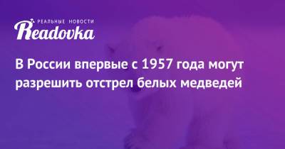 В России впервые с 1957 года могут разрешить отстрел белых медведей - readovka.news - Россия