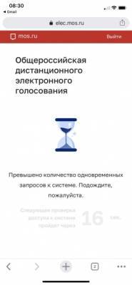 "Все резко пошли голосовать?": москвичи жалуются на "очередь" на сайте mos.ru - nakanune.ru - Москва