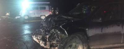 В Новосибирской области на трассе в аварии погибли два человека - runews24.ru - Новосибирск - Павлодар - Новосибирская обл.