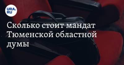 Сколько стоит мандат Тюменской областной думы. Аналитика URA.RU - ura.news - Россия - Тюмень