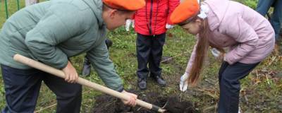 В Новосибирской области заложили аллею в честь спасателей МЧС - runews24.ru - Россия - Новосибирская обл.