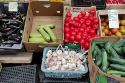 Хабаровские военные похитили продуктов на 20 млн рублей - hab.aif.ru - Россия - Хабаровск