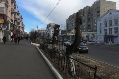 Замглавы администрации Читы: Если мы сохраняем деревья, то ставим под угрозу жизни - chita.ru - Чита