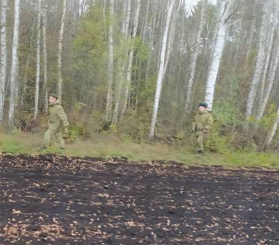 Польский пограничник не подтвердил заявлений пресс-службы ведомства о появлении белорусских десантников у границы - topwar.ru - Белоруссия - Польша - Варшава