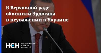 Владимир Путин - Реджеп Тайип Эрдоган - Тайип Эрдоган - Олег Волошин - В Верховной раде обвинили Эрдогана в неуважении к Украине - nsn.fm - Россия - Украина - Сочи - Турция