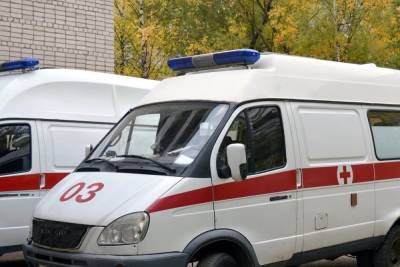 Татьяна Петрова - В Подмосковье местный житель ударил ножом мужчину из шумной компании, мешавшей ему спать - mk.ru - Россия - Московская обл.
