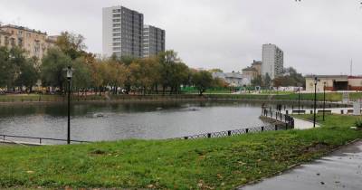 Новые фонтаны в пруду напомнили москвичам плавучие мины - moslenta.ru - Москва