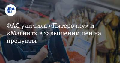 ФАС уличила «Пятерочку» и «Магнит» в завышении цен на продукты - ura.news - Московская обл.