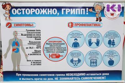 В Минздраве Коми рассказали, чем опасен грипп - komiinform.ru - респ. Коми