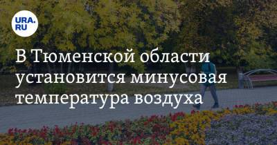 В Тюменской области установится минусовая температура воздуха - ura.news - Тюменская обл.