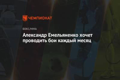 Александр Емельяненко - Александр Емельяненко хочет проводить бои каждый месяц - championat.com - Россия