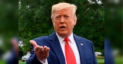 Дональд Трамп - Дональд Трамп подав до суду на свою племінницю і газету New York Times, вимагаючи 100 мільйонів доларів - fakty.ua - США - Украина - New York