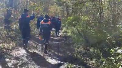 В МЧС рассказали о трудностях поиска разбившегося Ан-26 - iz.ru - Израиль - Хабаровский край - Хабаровск