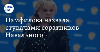 Элла Памфилова - Памфилова назвала стукачами соратников Навального. Они просили США ввести против нее санкции - ura.news - Россия - США