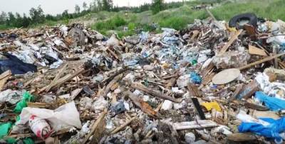 Мэрия Нижнего Новгорода оштрафована на 450 тысяч рублей за незаконную свалку - vgoroden.ru - Нижегородская обл. - Нижний Новгород - республика Мордовия - Экология