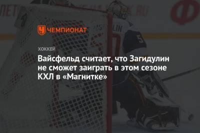 Леонид Вайсфельд - Вайсфельд считает, что Загидулин не сможет заиграть в этом сезоне КХЛ в «Магнитке» - championat.com