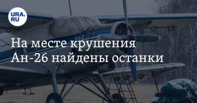 На месте крушения Ан-26 найдены останки - ura.news - Россия - Хабаровск