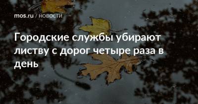Городские службы убирают листву с дорог четыре раза в день - mos.ru - Москва