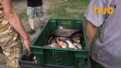 В Украине сократилось потребление рыбы - hubs.ua - Украина