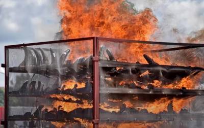 В Индии сожгли 2,5 тысячи рогов носорогов - korrespondent.net - Украина - Индия