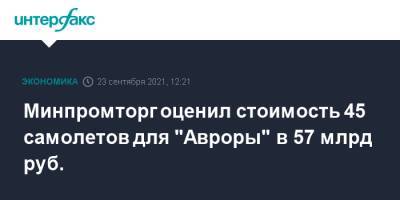 Денис Мантуров - Алексей Чекунков - Минпромторг оценил стоимость 45 самолетов для "Авроры" в 57 млрд руб. - interfax.ru - Москва