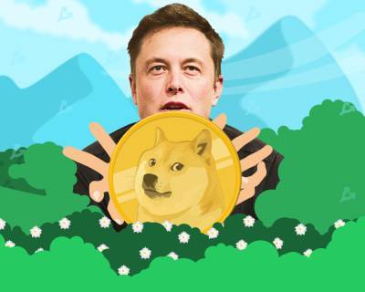 Илон Маск - Илон Маск - Питер Маккормак раскритиковал Илона Маска за поддержку Dogecoin - forklog.com