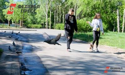 В Копейске из-за строительства сквера поссорились две партии - fedpress.ru - Россия - Челябинская обл. - Копейск