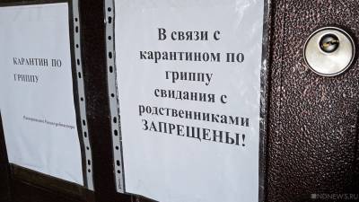 Ольга Арсентьева - В Челябинской области на карантин закрыли более 700 классов - newdaynews.ru - Россия - Челябинская обл. - Челябинск