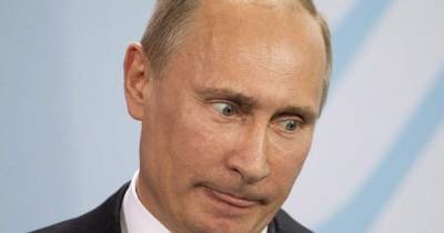 Владимир Зеленский - Владимир Путин - Дмитрий Песков - Андрей Ермак - В Кремле объяснили, когда Путин сможет встретиться с Зеленским - dsnews.ua - Россия - Украина - Крым