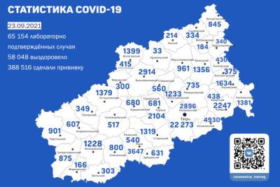 Обновлена карта распространения Covid-19 в Тверской области - tver.mk.ru - Тверь - Тверская обл.