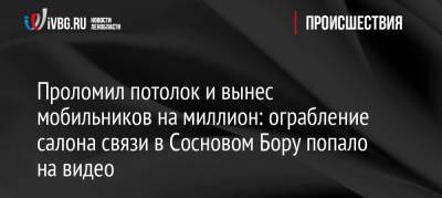 Проломил потолок и вынес мобильников на миллион: ограбление салона связи в Сосновом Бору попало на видео - ivbg.ru - Россия - Украина - Ленинградская обл. - Санкт-Петербург - Луганская обл.