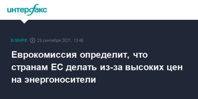 Кадри Симсон - Еврокомиссия определит, что странам ЕС делать из-за высоких цен на энергоносители - interfax.ru - Москва - Словения - Брюссель