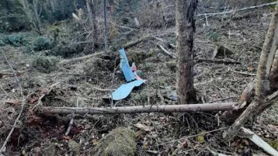 Опубликованы кадры разбившегося Ан-26 под Хабаровском - vm.ru - Хабаровский край - Хабаровск