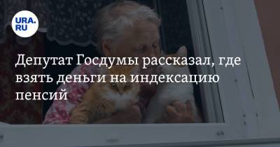 Анатолий Аксаков - Депутат Госдумы рассказал, где взять деньги на индексацию пенсий - ura.news