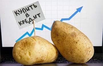 Картофель подорожал на 40%: как изменились цены на продукты, которые власти сдерживают - charter97.org - Белоруссия