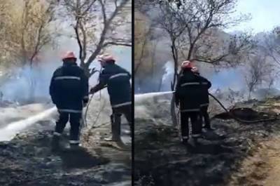 Иран пришëл на помощь Армении боевым расчëтом пожарных в Мегри - eadaily.com - Армения - Iran