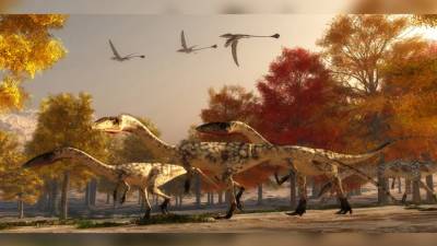 Интересный факт дня: Некоторые динозавры могли вилять хвостом - techno.bigmir.net