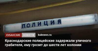 Краснодарские полицейские задержали уличного грабителя, ему грозит до шести лет колонии - kubnews.ru - Краснодарский край - Краснодар - респ. Дагестан