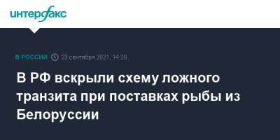 В РФ вскрыли схему ложного транзита при поставках рыбы из Белоруссии - interfax.ru - Москва - Россия - Белоруссия - Киргизия - Россельхознадзор