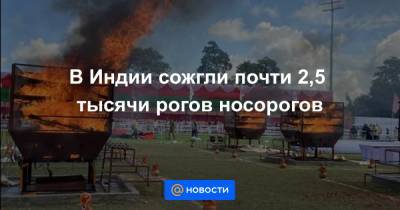 В Индии сожгли почти 2,5 тысячи рогов носорогов - news.mail.ru - Индия