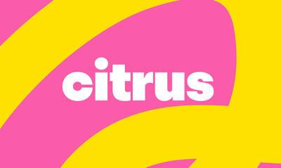S7 назовет свой лоукостер Citrus. Компания будет летать на розовых самолетах - og.ru - Москва - Россия