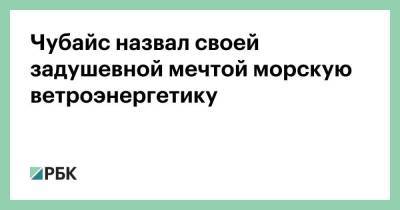 Анатолий Чубайс - Чубайс назвал своей задушевной мечтой морскую ветроэнергетику - smartmoney.one - Россия