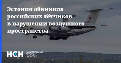 Александр Петров - Эстония обвинила российских лётчиков в нарушении воздушного пространства - nsn.fm - Россия - Эстония