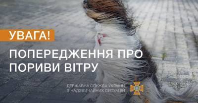 Спасатели предупредили об опасных метеорологических явлениях в Украине - kp.ua - Украина - Киев - Киевская обл. - Львов