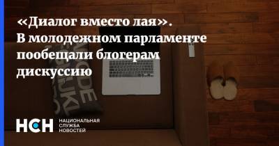 «Диалог вместо лая». В молодежном парламенте пообещали блогерам дискуссию - nsn.fm