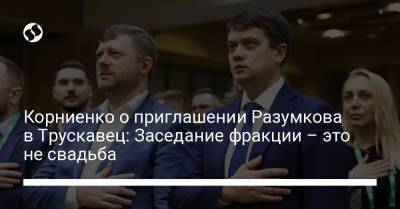 Дмитрий Разумков - Александр Корниенко - Корниенко о приглашении Разумкова в Трускавец: Заседание фракции – это не свадьба - liga.net - Украина